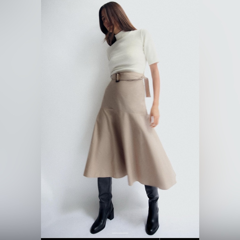 Zara Cream and Tan Dress